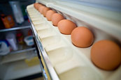 Craving Eggs